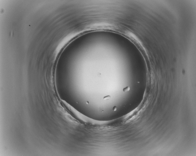 X0000070361336200606161242