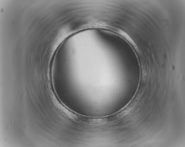 X0000070361339200606161242