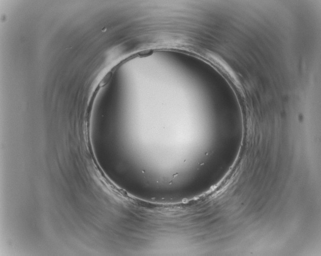 X0000070361340200606161242