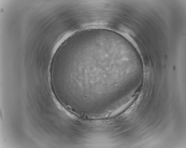 X0000070361341200606161242