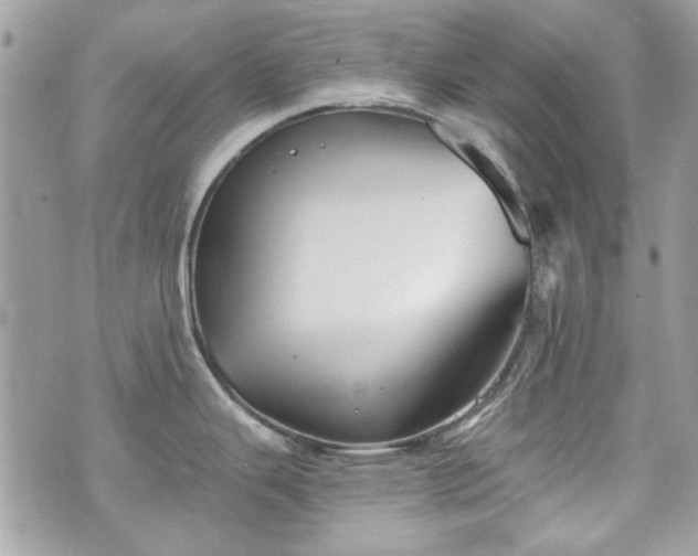 X0000070361343200606161242