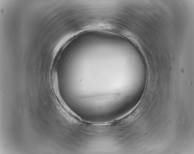 X0000070361344200606161242