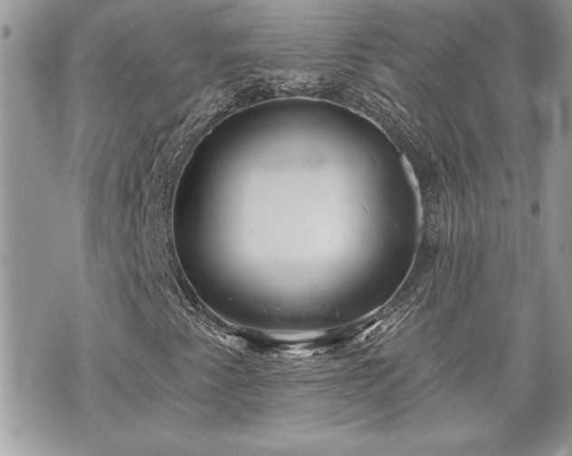 X0000070361345200606161241