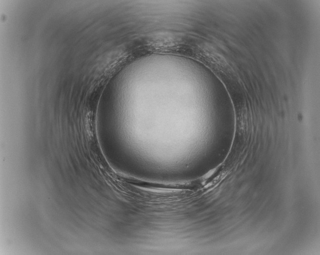 X0000070361346200606161241