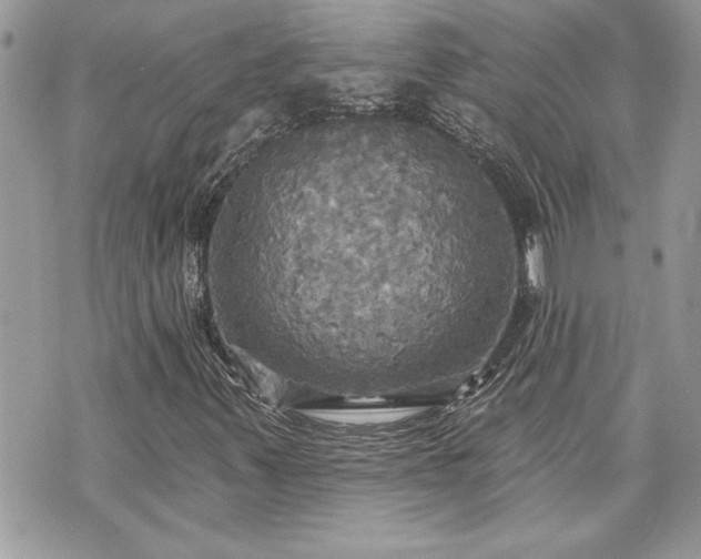 X0000070361347200606161241