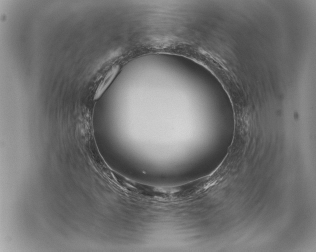 X0000070361349200606161241