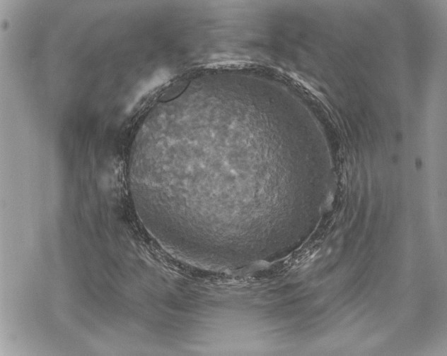 X0000070361351200606161241