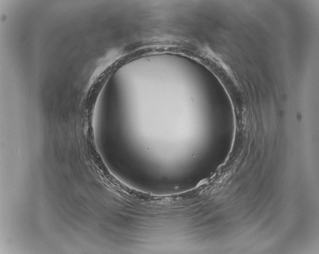 X0000070361352200606161241