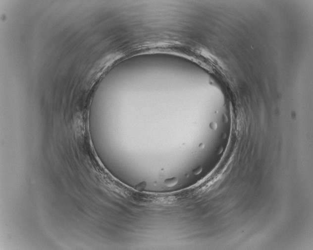 X0000070361353200606161241