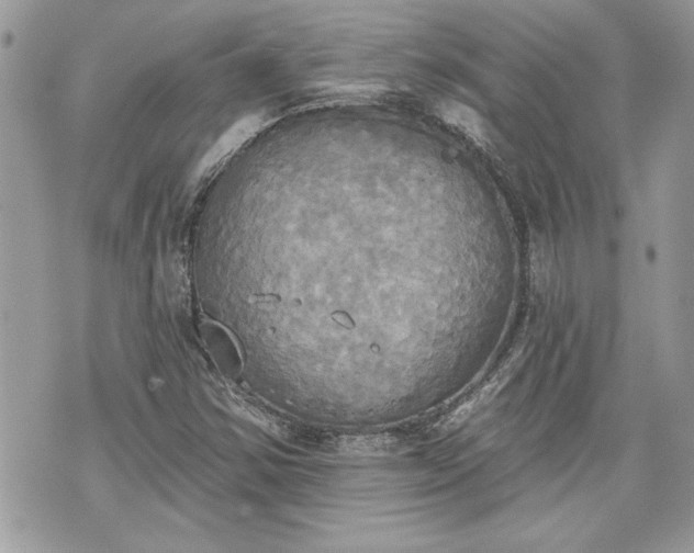 X0000070361354200606161241