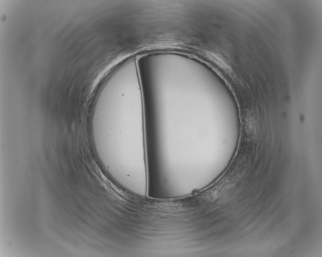 X0000070361356200606161241