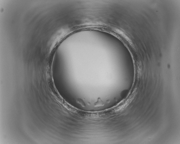 X0000070361357200606161241