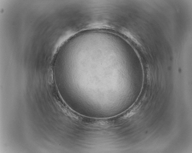 X0000070361358200606161241