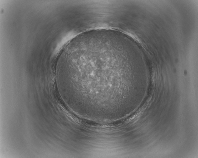 X0000070361359200606161241