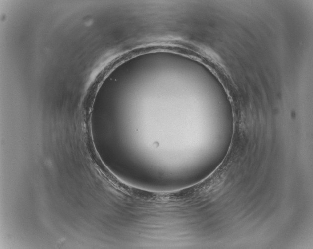 X0000070361360200606161241