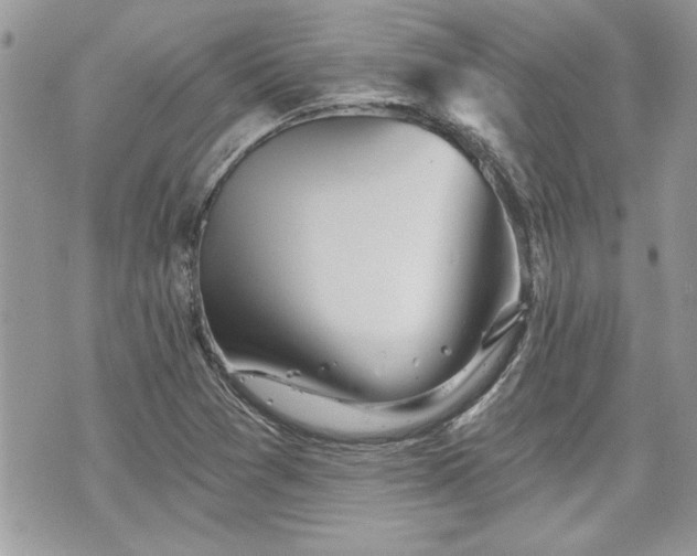 X0000070361361200606161241