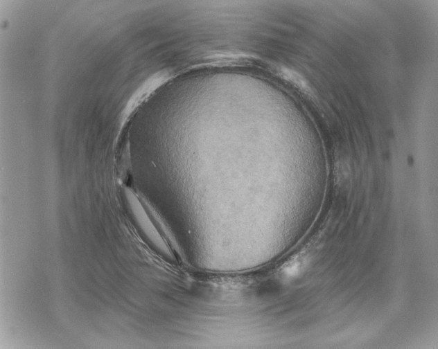 X0000070361362200606161241