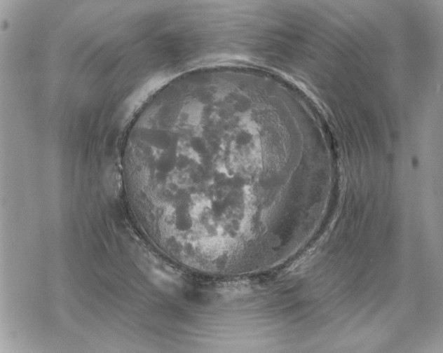 X0000070361363200606161241