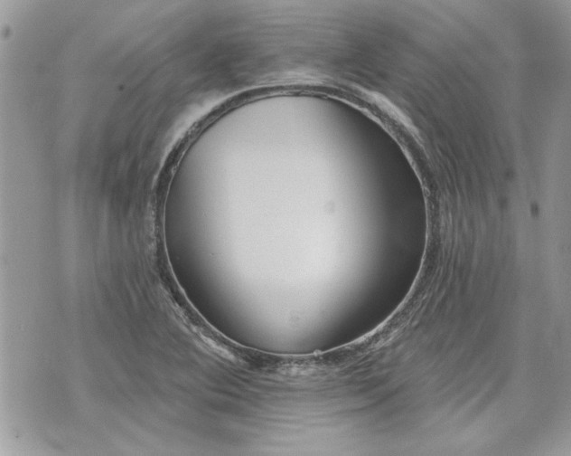 X0000070361364200606161241