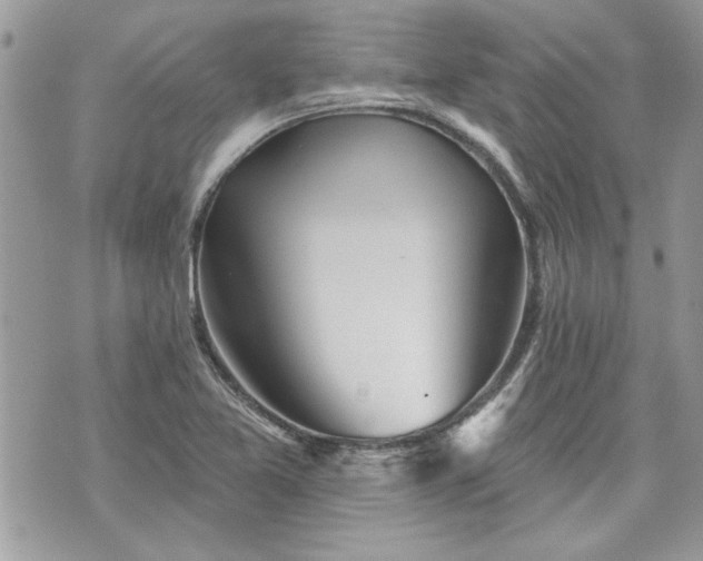 X0000070361365200606161241