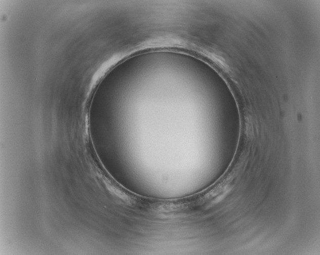 X0000070361366200606161241