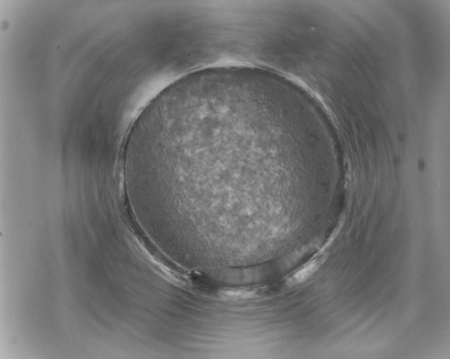 X0000070361367200606161241