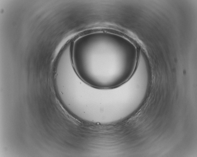 X0000070361368200606161241