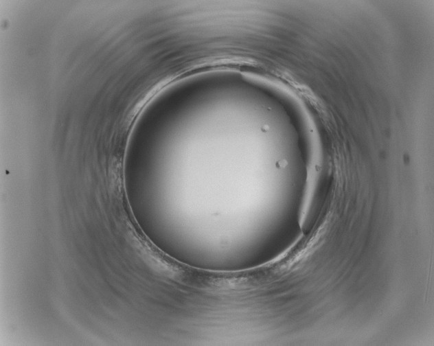 X0000070361369200606161241