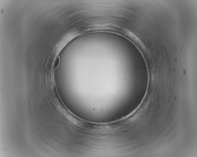 X0000070361370200606161241