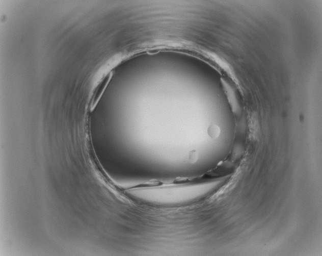 X0000070361373200606161240