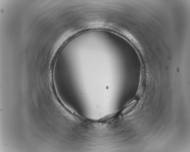 X0000070361376200606161240