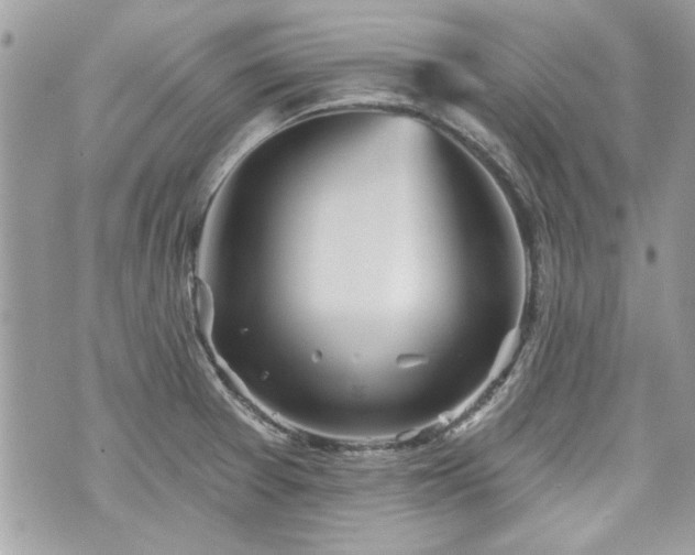 X0000070361377200606161240