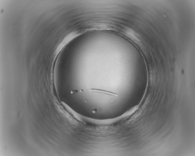 X0000070361378200606161240