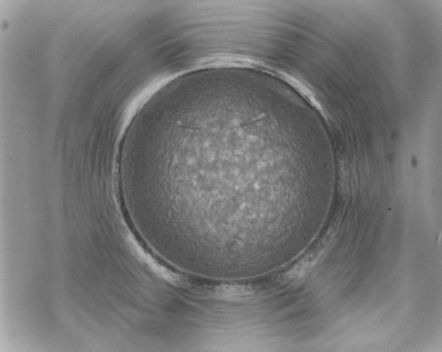 X0000070361379200606161240