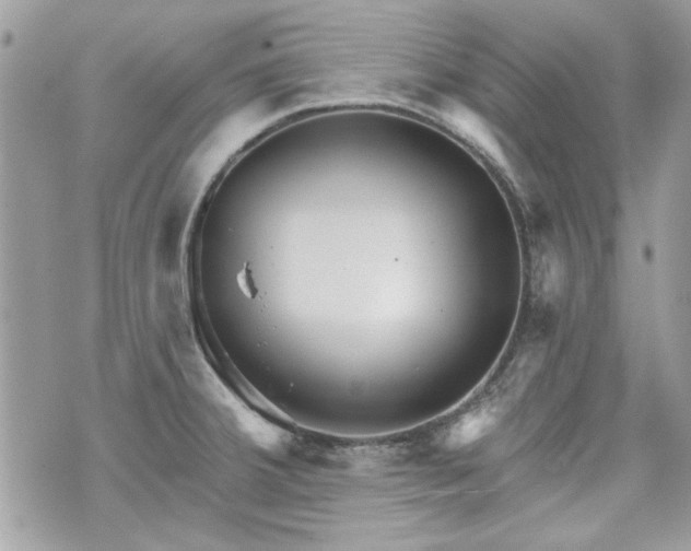 X0000070361380200606161240