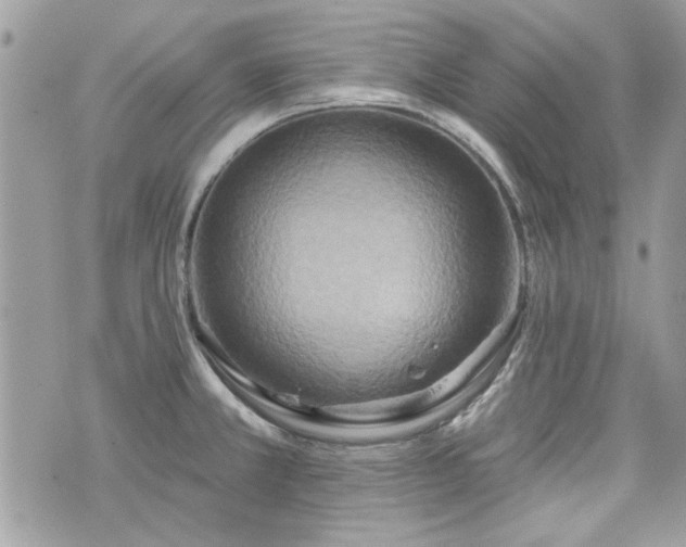 X0000070361381200606161240