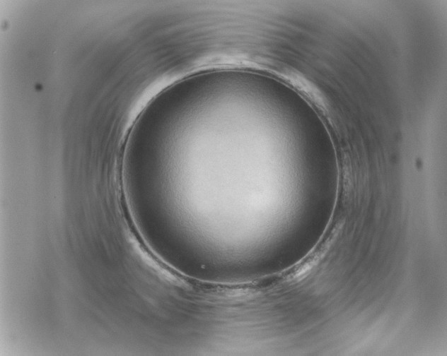 X0000070361382200606161240