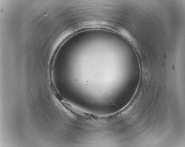 X0000070361384200606161240