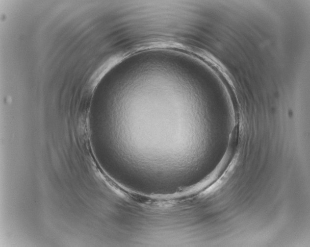 X0000070361385200606161240