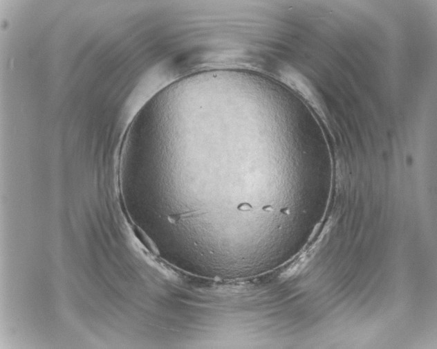 X0000070361386200606161240