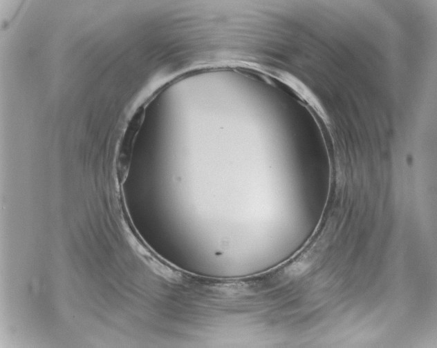 X0000070361388200606161240