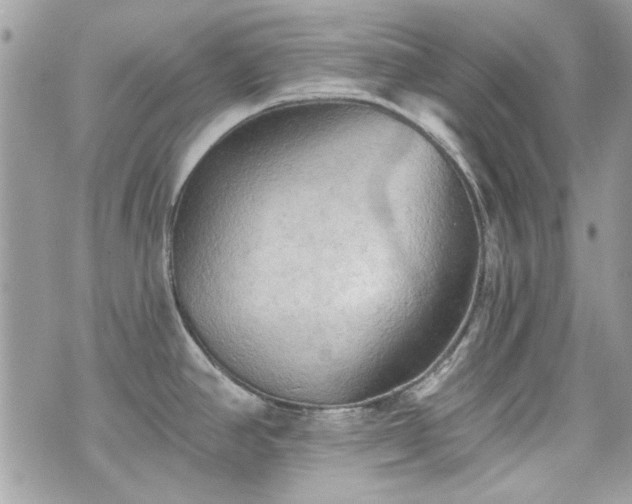 X0000070361390200606161240