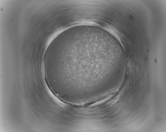 X0000070361391200606161240