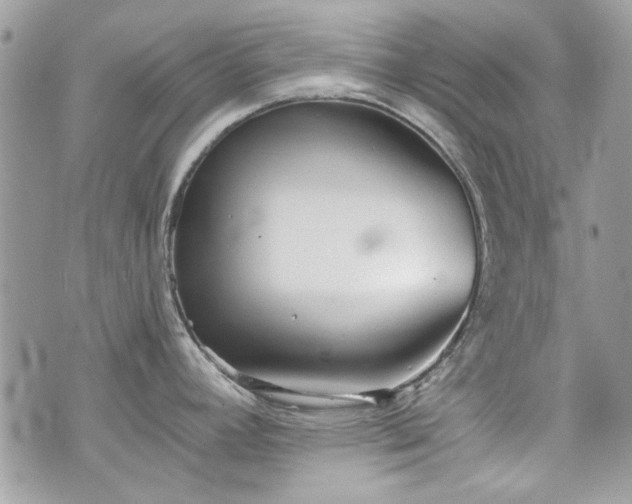 X0000070361392200606161240