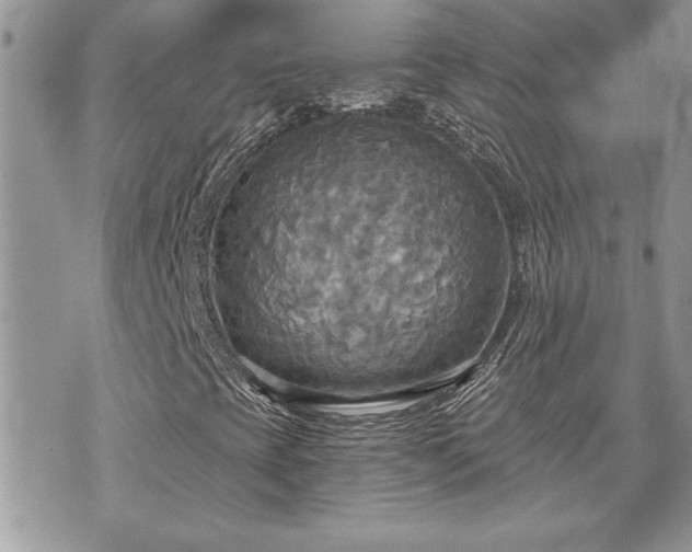 X0000070361393200606161239