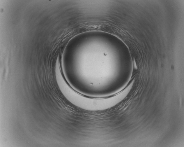 X0000070361394200606161239