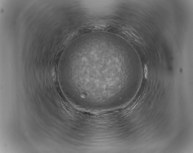 X0000070361395200606161239