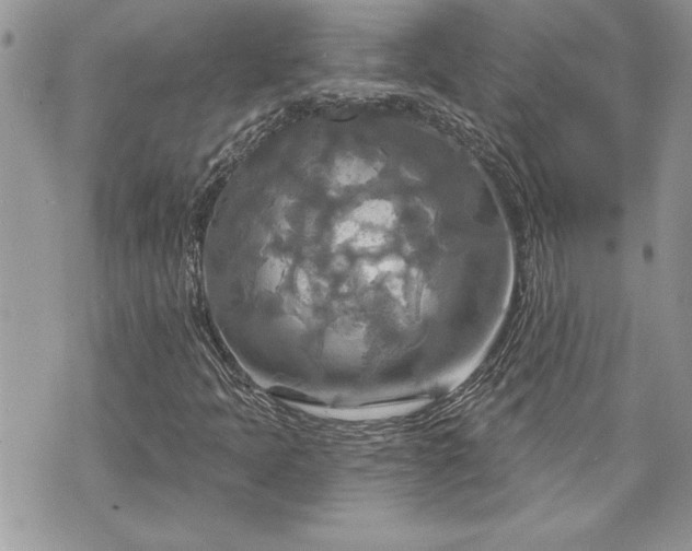 X0000070361397200606161239