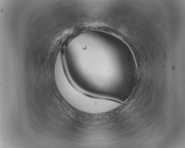 X0000070361398200606161239