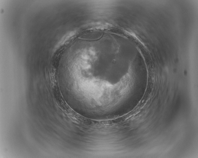 X0000070361399200606161239